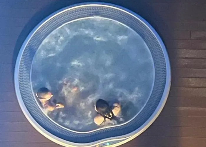 One شقة شكلارسكا بوريبا